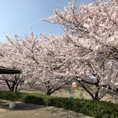 山本町河川敷
