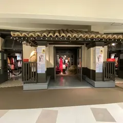 Hollister Co.