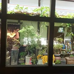 ならやま茶館 えびす小路ダイニング
