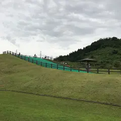 丸山総合公園