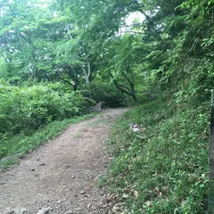 高崎山
