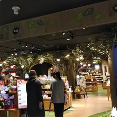 どんぐり共和国