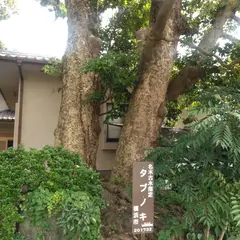清水寺本堂