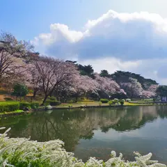 烏ケ森公園