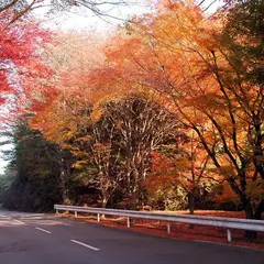 嵐山−高雄パークウェイ
