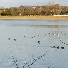 勅使水辺公園