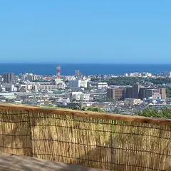 湘南オーガニックファーム