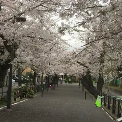 呑川緑道