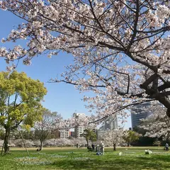 舞鶴公園