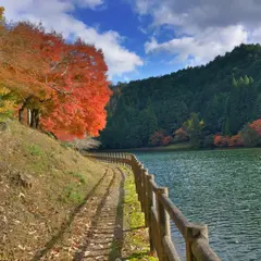 伊自良湖
