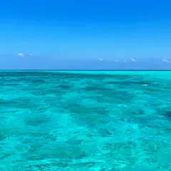 池間島ダイビングサービス