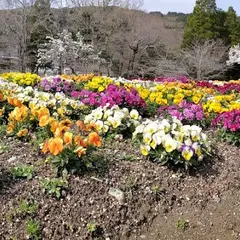 福智町