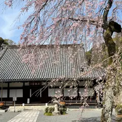 知恩院 勢至堂
