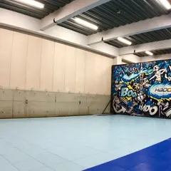 ARスポーツセンター HADO ARENA 日比谷店