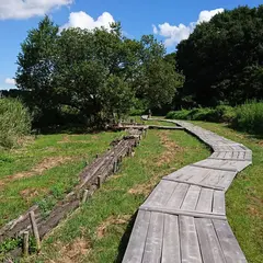 守谷野鳥の森