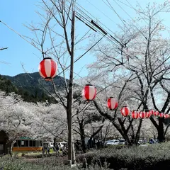寺尾ヶ原千本桜公園