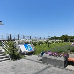 緑の道しるべ 郡家公園