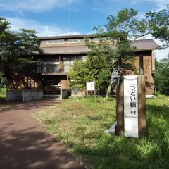 海辺の森キャンプ場