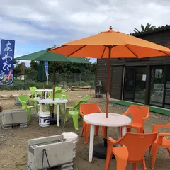 漁師浜焼き 赤根島