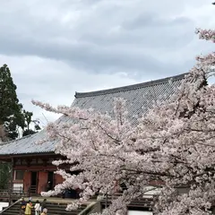 醍醐寺