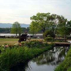 昆陽池公園