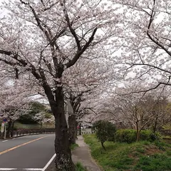 桜山中央公園