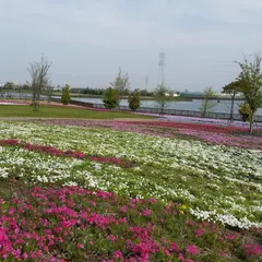 三ツ又池公園