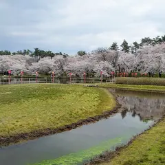 弁天潟風致公園