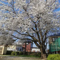 前山公園