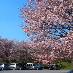 有珠善光寺自然公園