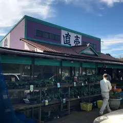 ふるさと農園オカモト直売所