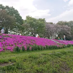 新戸スポーツ広場