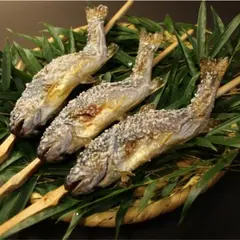 滝のある釣堀 那須高原 清流の里
