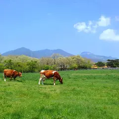 那須高原