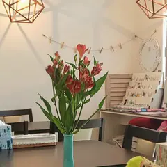 パンcafeここ