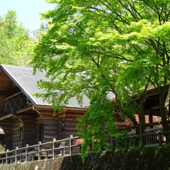 四万十ひろばキャンプ場