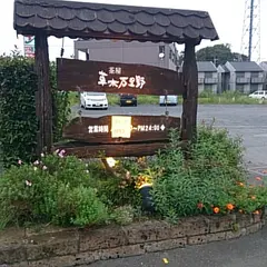 草木万里野佐野店