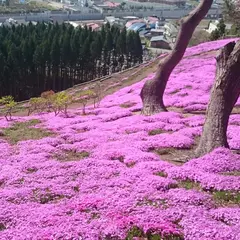 薬師山