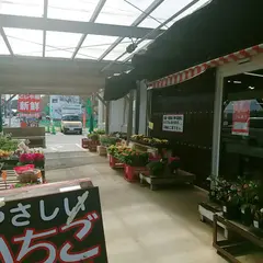 ごじゃ箱岬店
