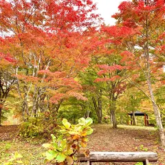 市民の森不習岳