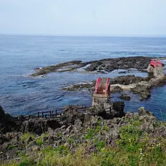 高野崎