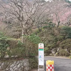 蓬莱園（バス）