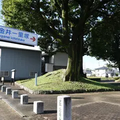 小金井一里塚