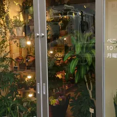 ペニーレインしんかえん