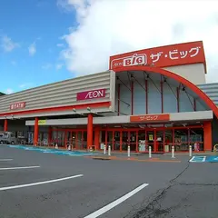 ザ・ビッグ茅野店