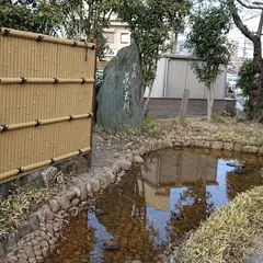 萩の玉川