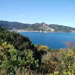 こぼれ美島展望台