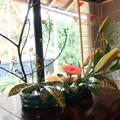 発酵カフェ小春日和