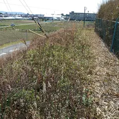 野口城跡