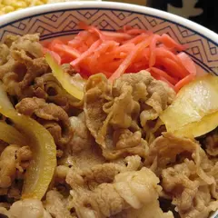 吉野家 ２５０号線網干店